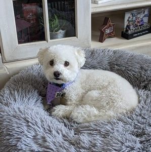 Meet your Posher, Dominique